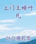 上门王婿叶凡