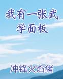 我有一张武学面板