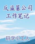 反盗墓公司工作笔记