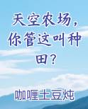 天空农场，你管这叫种田？