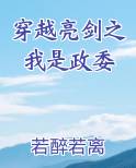 穿越亮剑之我是政委
